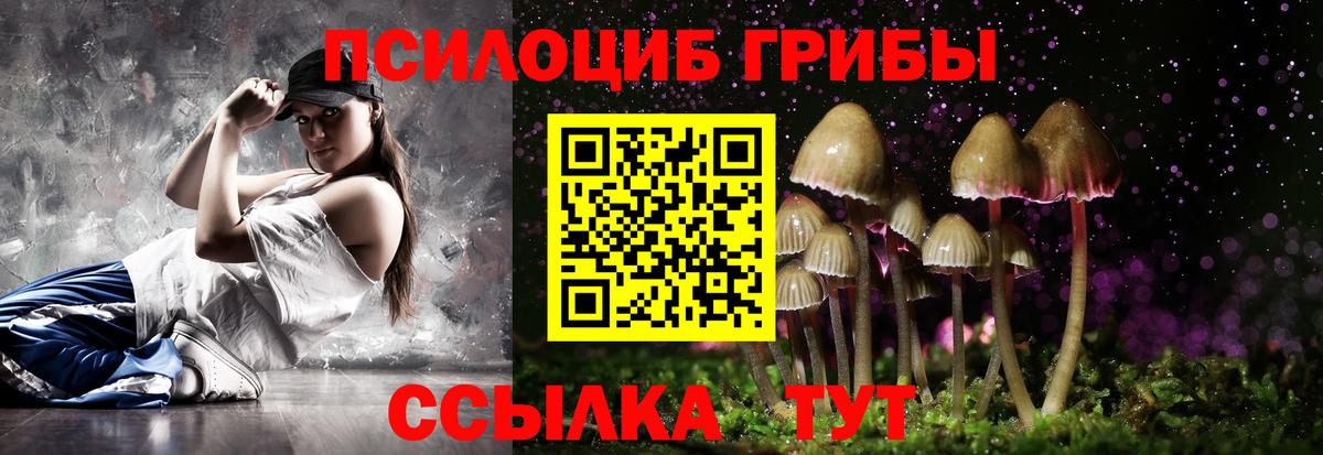 Псилоцибиновые грибы прущие грибы  Вход с VPN  купить  сайты  Одинцово 
